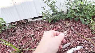 Brianna Beach – Gainful Employment