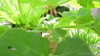 Aspen Rae Nude Vegetable Masturbation OnlyFans Video Leaked – Influencers GoneWild